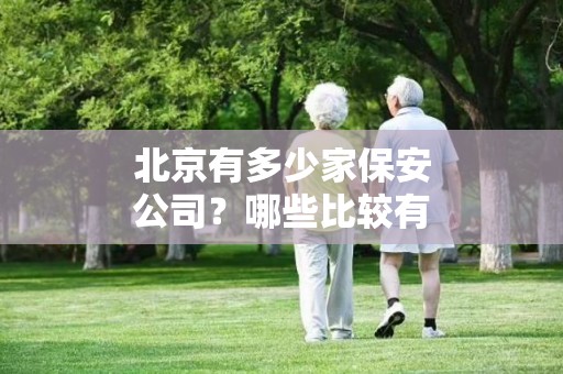 北京有多少家保安公司？哪些比较有名，比较专业？